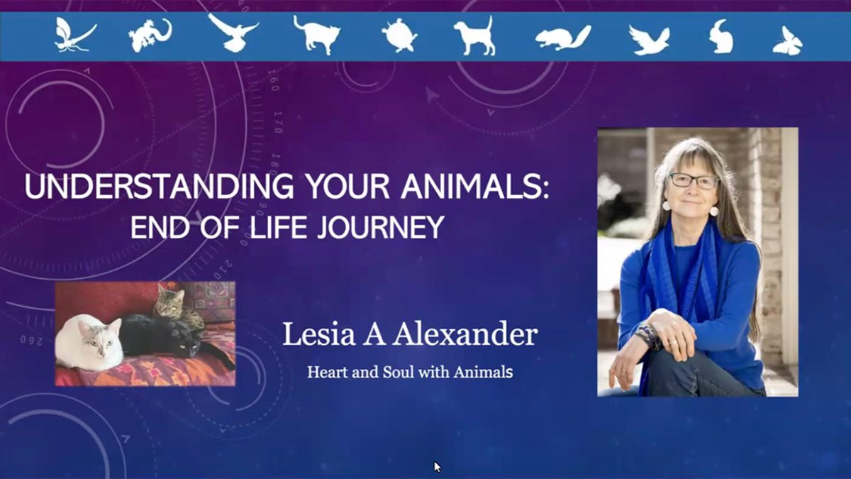 Understanding Your Animals: End of Life Journey